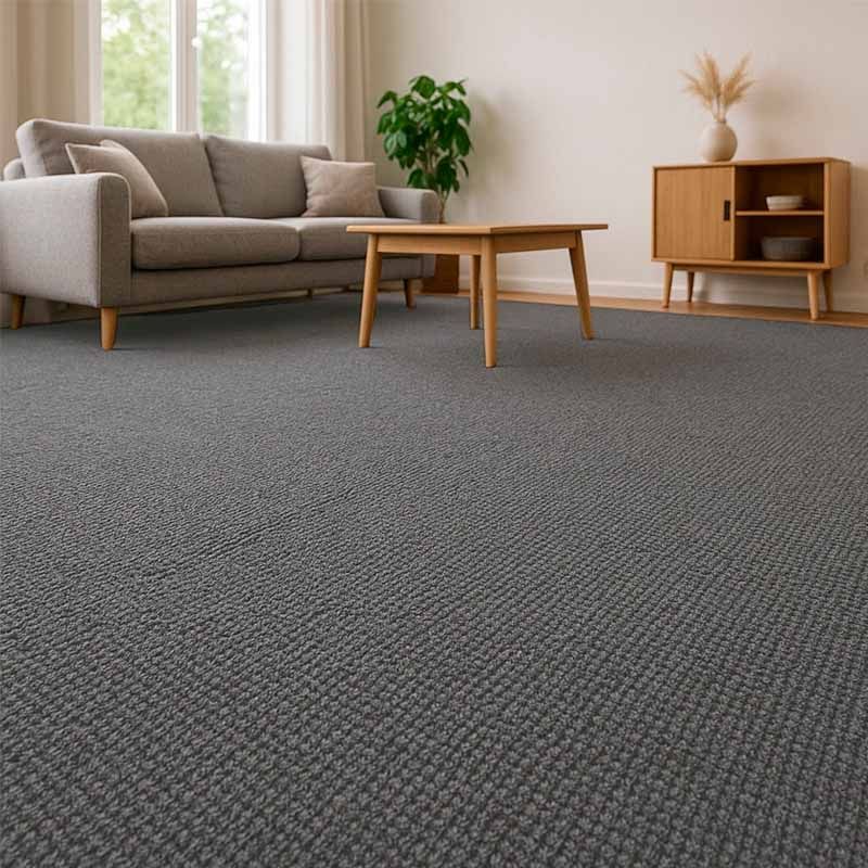 Limpeza e higienização de tapetes e carpetes